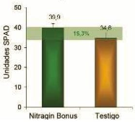 Mejorar la eficiencia de producción en trigo y otros cereales - Image 5