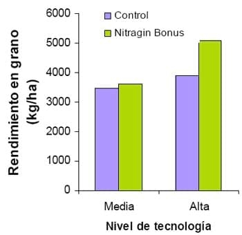Mejorar la eficiencia de producción en trigo y otros cereales - Image 8