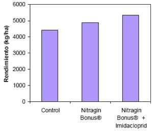 Mejorar la eficiencia de producción en trigo y otros cereales - Image 12