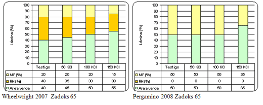 Respuesta al agregado de cloruro de potasio en trigo en suelos argiudoles. Resultados de cuatro años de experiencias. - Image 4
