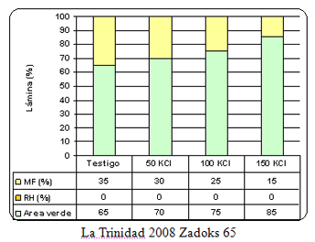 Respuesta al agregado de cloruro de potasio en trigo en suelos argiudoles. Resultados de cuatro años de experiencias. - Image 5