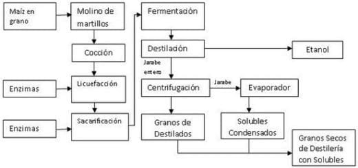 Alimentos alternativos para ganado lechero: Ensilaje de Granos de Destilería Húmedos (Primera Parte) - Image 3