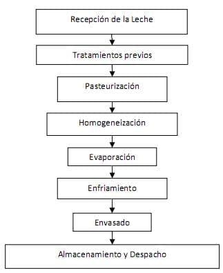 La elaboración de derivados lácteos como alternativa de procesamiento para pequeños y medianos productores de leche fresca - Image 7
