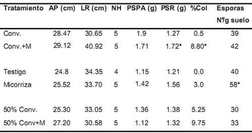 Evaluación del efecto en la simbiosis micorrizica del inóculo mycorrizz sobre distintas dosis de fertilización en plántulas de palma de aceite durante las etapas de pre-vivero y vivero - Image 2