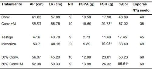 Evaluación del efecto en la simbiosis micorrizica del inóculo mycorrizz sobre distintas dosis de fertilización en plántulas de palma de aceite durante las etapas de pre-vivero y vivero - Image 3