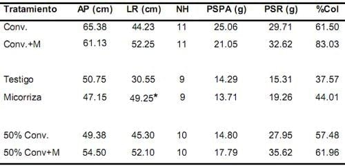 Evaluación del efecto en la simbiosis micorrizica del inóculo mycorrizz sobre distintas dosis de fertilización en plántulas de palma de aceite durante las etapas de pre-vivero y vivero - Image 8
