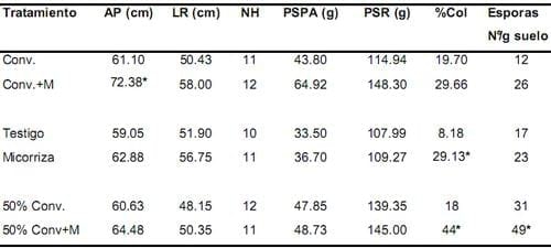 Evaluación del efecto en la simbiosis micorrizica del inóculo mycorrizz sobre distintas dosis de fertilización en plántulas de palma de aceite durante las etapas de pre-vivero y vivero - Image 5
