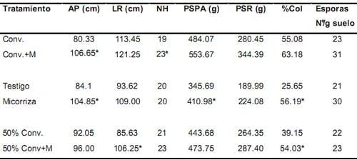 Evaluación del efecto en la simbiosis micorrizica del inóculo mycorrizz sobre distintas dosis de fertilización en plántulas de palma de aceite durante las etapas de pre-vivero y vivero - Image 6