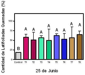 Eficiencia de coadyuvantes en el uso de herbicidas a diferentes dosis en un barbecho de trigo - Image 6