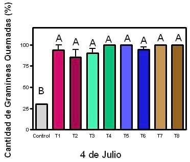 Eficiencia de coadyuvantes en el uso de herbicidas a diferentes dosis en un barbecho de trigo - Image 10