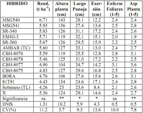 Informe del Comportamiento de los sorgos Híbridos para grano del PCCMCA durante el 2008 - Image 9