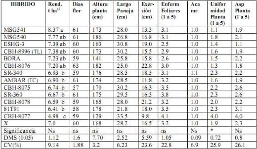 Informe del Comportamiento de los sorgos Híbridos para grano del PCCMCA durante el 2008 - Image 14