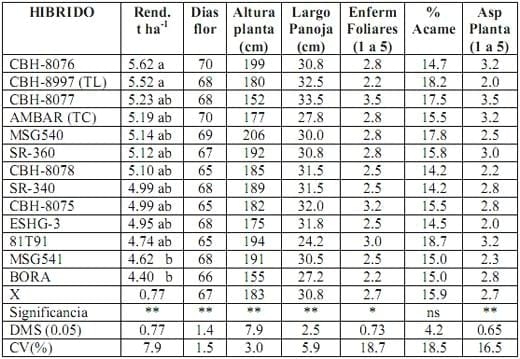Informe del Comportamiento de los sorgos Híbridos para grano del PCCMCA durante el 2008 - Image 5