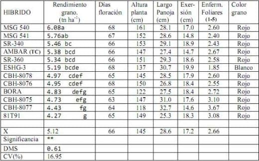 Informe del Comportamiento de los sorgos Híbridos para grano del PCCMCA durante el 2008 - Image 15