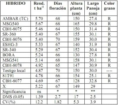Informe del Comportamiento de los sorgos Híbridos para grano del PCCMCA durante el 2008 - Image 6