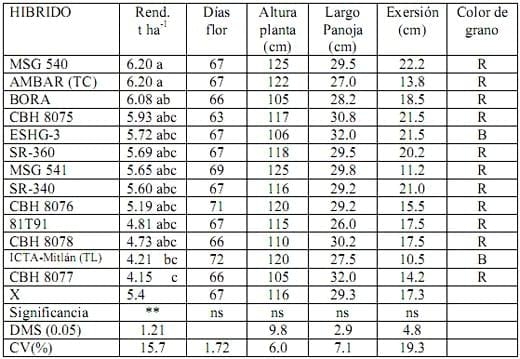 Informe del Comportamiento de los sorgos Híbridos para grano del PCCMCA durante el 2008 - Image 4