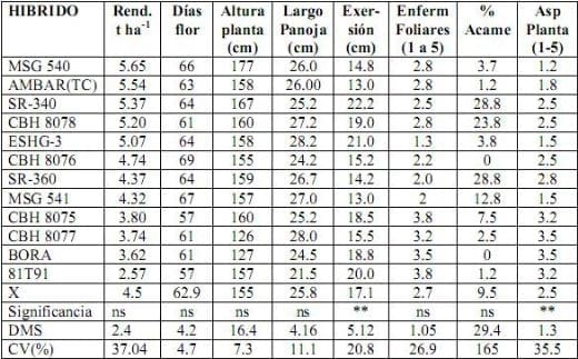 Informe del Comportamiento de los sorgos Híbridos para grano del PCCMCA durante el 2008 - Image 10