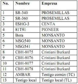 Informe del Comportamiento de los sorgos Híbridos para grano del PCCMCA durante el 2008 - Image 1