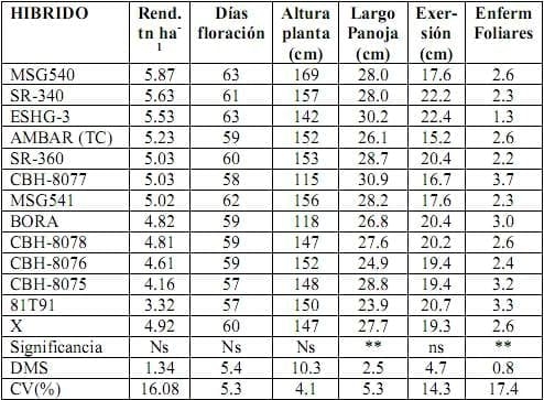 Informe del Comportamiento de los sorgos Híbridos para grano del PCCMCA durante el 2008 - Image 13