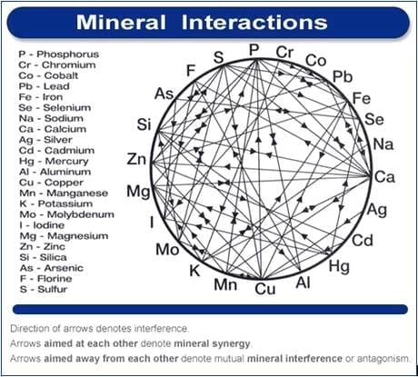 Avances tecnologicos aplicados a la suplementacion mineral - Image 1