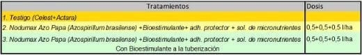 Evaluación de Nodumax Azo Papa sobre el desarrollo y rendimiento de Papa CV. Spunta, en plantación tardía, campaña 2009. - Image 1