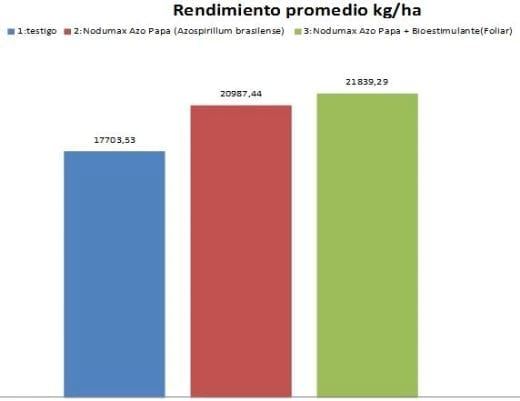 Evaluación de Nodumax Azo Papa sobre el desarrollo y rendimiento de Papa CV. Spunta, en plantación tardía, campaña 2009. - Image 9