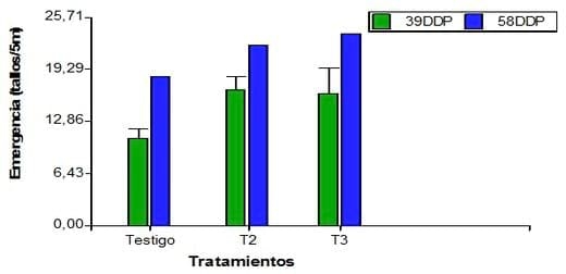 Evaluación de Nodumax Azo Papa sobre el desarrollo y rendimiento de Papa CV. Spunta, en plantación tardía, campaña 2009. - Image 11