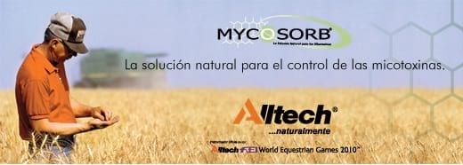 Uso de Glucanos como solución a las micotoxinas - Image 1