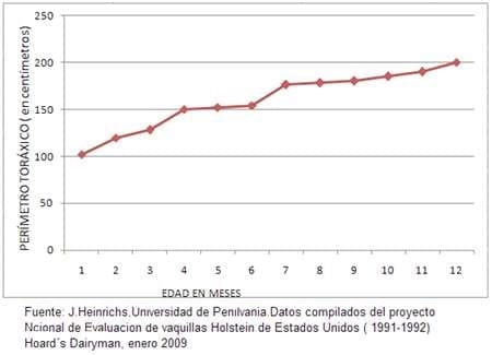 Analizando el costo de producción en todos los rincones de la empresa - Image 6