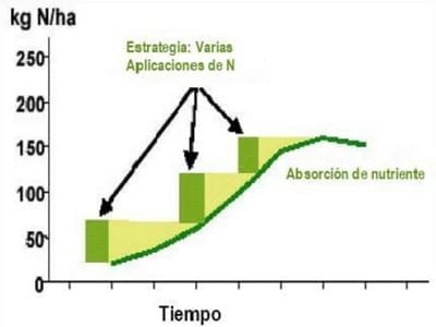 Diferentes estrategias de fertilización nitrogenada y su interacción con la aplicación de un fungicida sobre el rendimiento y el porcentaje de proteína en grano en el cultivo de trigo - Image 7