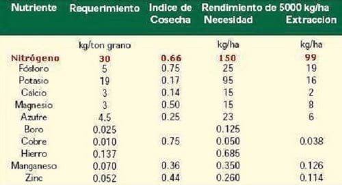 Diferentes estrategias de fertilización nitrogenada y su interacción con la aplicación de un fungicida sobre el rendimiento y el porcentaje de proteína en grano en el cultivo de trigo - Image 10