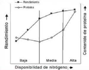 Diferentes estrategias de fertilización nitrogenada y su interacción con la aplicación de un fungicida sobre el rendimiento y el porcentaje de proteína en grano en el cultivo de trigo - Image 59