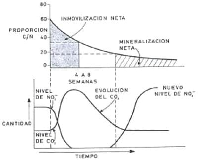 Diferentes estrategias de fertilización nitrogenada y su interacción con la aplicación de un fungicida sobre el rendimiento y el porcentaje de proteína en grano en el cultivo de trigo - Image 2