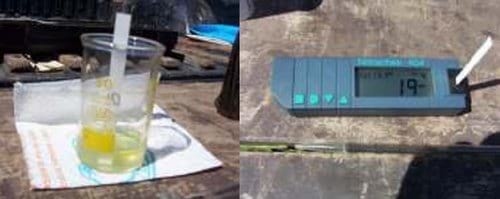 Diferentes estrategias de fertilización nitrogenada y su interacción con la aplicación de un fungicida sobre el rendimiento y el porcentaje de proteína en grano en el cultivo de trigo - Image 20