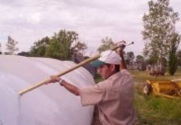 Conservación de Granos, Almacenamiento tradicional y en bolsas plásticas - Image 9