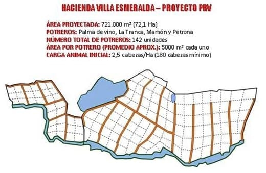 Pastoreo Racional Voisin y Semiestabulación. Productividad y Rentabilidad para la ganadería bovina, ovina y caprina - Image 2