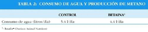 La betaína mejora la utilización de la energía en cerdos - Image 7
