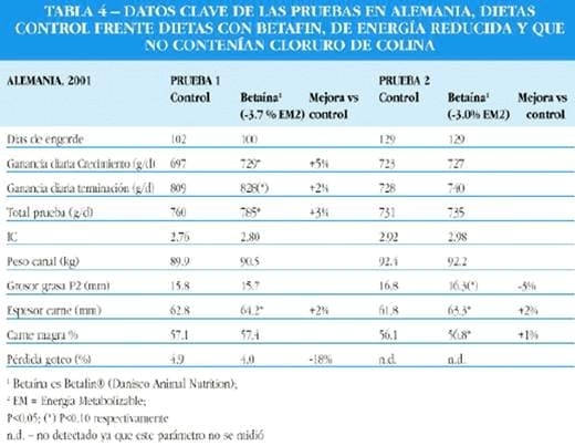 La betaína mejora la utilización de la energía en cerdos - Image 9