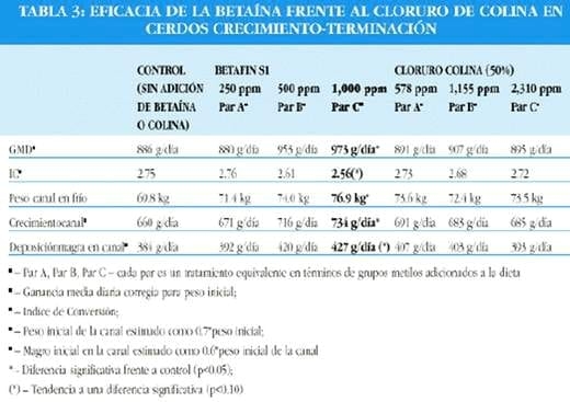 La betaína mejora la utilización de la energía en cerdos - Image 8