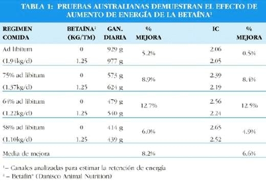 La betaína mejora la utilización de la energía en cerdos - Image 5