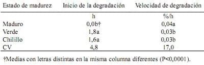 Degradación ruminal de la materia seca del fruto cuajilote (Parmentiera edulis) - Image 5