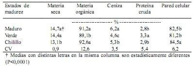 Degradación ruminal de la materia seca del fruto cuajilote (Parmentiera edulis) - Image 2
