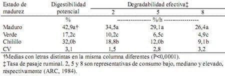 Degradación ruminal de la materia seca del fruto cuajilote (Parmentiera edulis) - Image 6