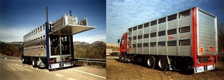 El estrés, un factor ha tener en cuenta en la producción porcina - Image 1