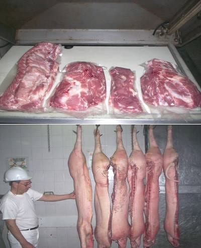 ¿ Para que un Programa Porcino? - Image 1