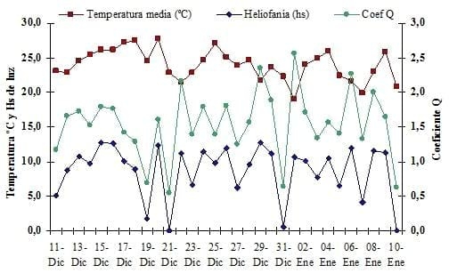 Respuesta del maíz a la fertilización complementaria con nitrógeno, zinc, boro y otros nutrientes aplicados por vía foliar - Image 2