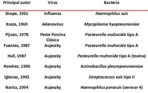 Interacciones virus – bacterias - Image 1