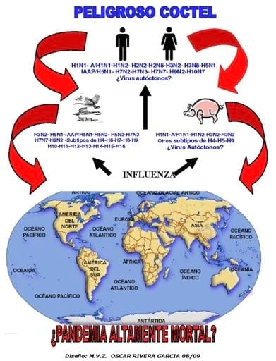 Influenza, ¿Ad Portas de una pandemia mortal? - Image 8