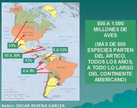 Influenza, ¿Ad Portas de una pandemia mortal? - Image 6