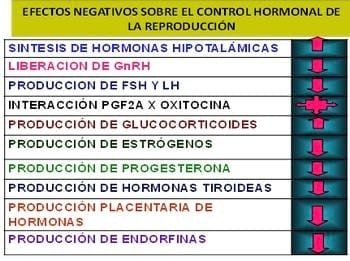 Importancia del microambiente para el desempeño fisiológico y efectos negativos del estrés calórico sobre la capacidad fisiológica y de producción en los caprinos y ovinos - Image 6